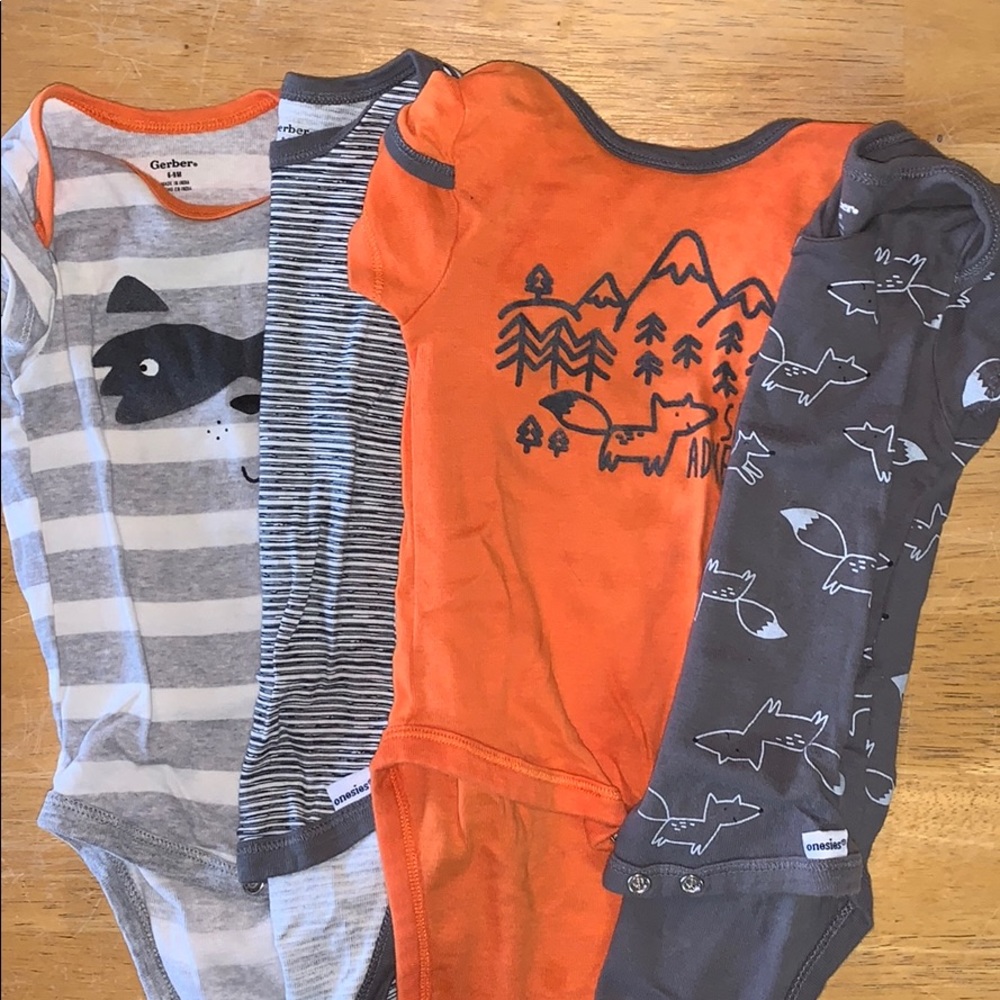 Raccoon and Fox set